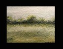 Young-Field